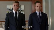 Suits Season